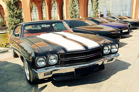 front shot of a black classic muscle car featuring twin wide white racing stripes on the hood, parked in a line with other vehicles at a sunny outdoor showの写真素材