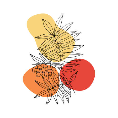 Rowan branches with leaves and berries. Modern single line art. Vector fall illustration. Perfect for home decor such as posters, wall art, tote bag or t-shirt print, sticker, mobile caseのイラスト素材