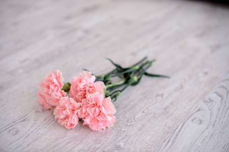 a bouquet of roses on the floor in a glass vase geometry shadowsの写真素材