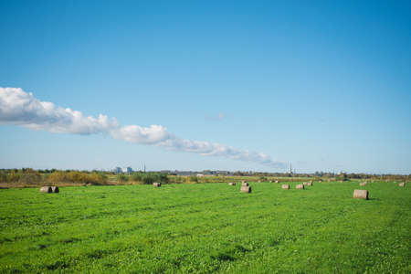 Round haystack in the field of animal productionの写真素材