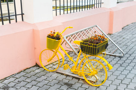 parking space for bicycles in the city park