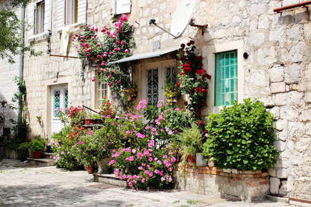flowers in town of Perast, Kotor Bay, Montenegroの写真素材