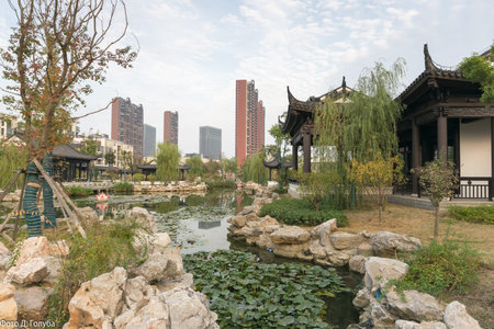small well-equipped pond in a philosophy museum in China