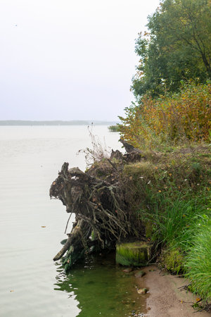 Forest walking path on the lake shore in autumnの写真素材