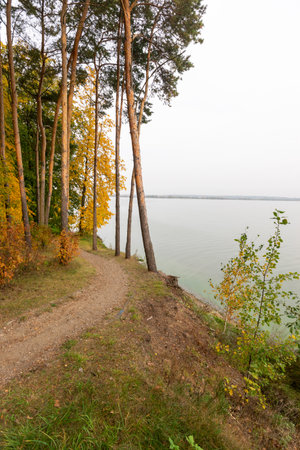 Forest walking path on the lake shore in autumnの写真素材
