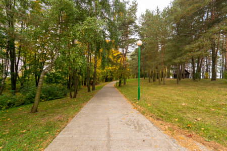 Forest footpath in autumnの写真素材