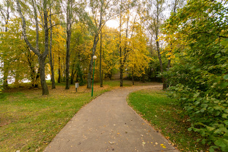 Forest footpath in autumnの写真素材