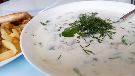 sour milk with dill and cilantro and tomatoの写真素材