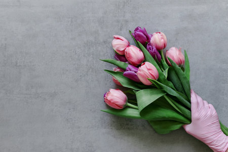 Female hand in a medical glove holds a bouquet of tulips on a gray backgroundの写真素材