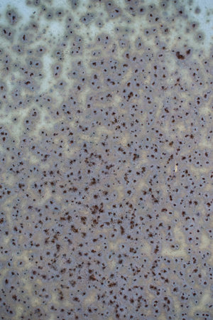 Texture of rusty painted metal