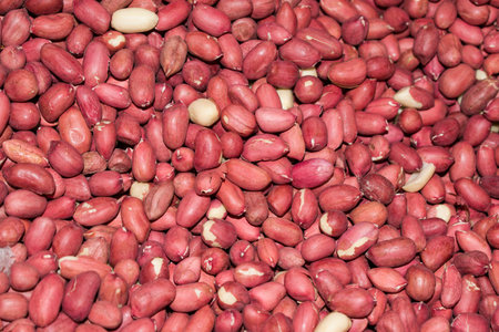 Background from ripe peeled peanut closeup