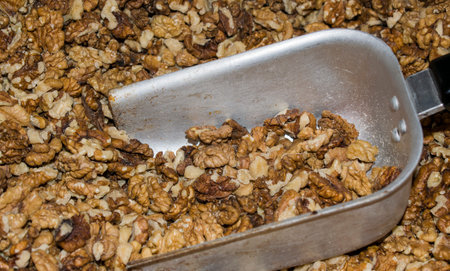 Metal scoop handle lying in the drawer with the walnuts