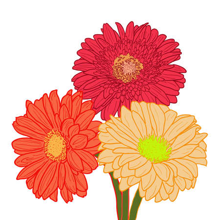 Can use for greeting card, wedding invitation, birthday, funeral, party etcのイラスト素材