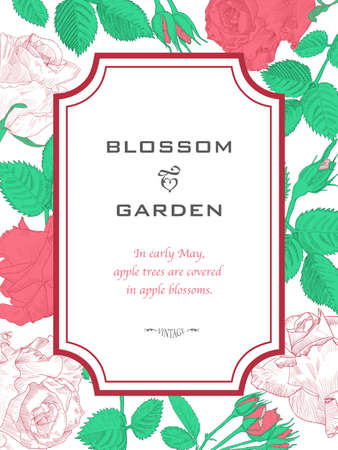 Vintage Greeting Card made of Hand Drawn Flowers - Red and White Roses. Colorful Botanical Vector Illustration. Blooming Frame Can Use as Element Design, Card, Template, Invitation, Wedding, Birthday etcのイラスト素材