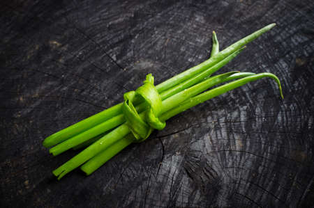 bunch of green onions on the dark backgroundの写真素材