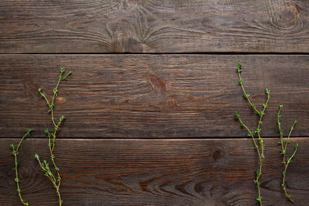 Rosemary herb on dark wood flat lay, copyspace. Top view on dark wooden background with rosemary brunches on both sides, void.Rosemary frame on woodの写真素材