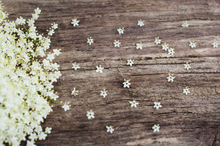 Wooden background with white blossom, copyspace, rustic style for greeting cardsの写真素材
