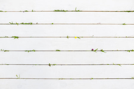 White wooden background with summer elements. Copyspace for text or advertisement. Visit cards styleの写真素材