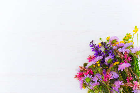 White background with colorful field flowers, copyspace for text or advertisement. Greeting cards, wedding invitationsの写真素材