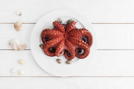Whole fresh raw octopus on white plate with tentacles copy space. Seafood delicatessen ready for cooking with sea shells on white background. Mediterranean meal, luxury food conceptの写真素材