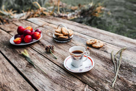 Coffee break at village, rest from urbanization. Old rustic wooden table with cup of coffee, cookies and plums. Breakfast in nature.の写真素材