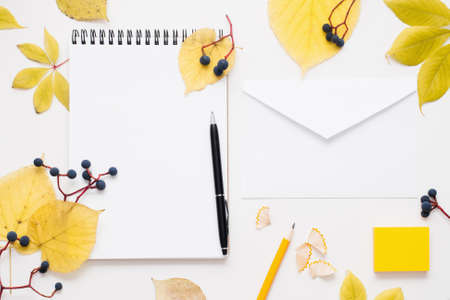Blank notepad and envelope in autumn leaves frame. White sheet of paper with free space for text with pen and pencil, surrounded by yellow fall foliageの写真素材
