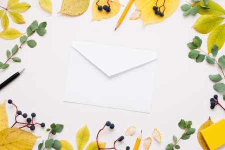 White empty envelope in autumn leaves frame. Paper cover on white background surrounded by yellow foliage and blueberry. Fall inspiration, good news, inbox conceptの写真素材