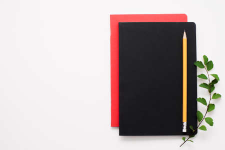 Set of notebooks on white background, free space. Writer work stuff, notebook and pencil. Artist, sketch drawing, article writing conceptの写真素材