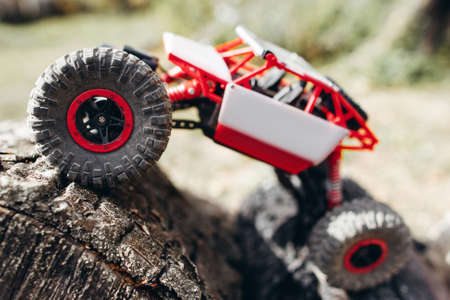 Crawler Toy Racing Rally Hobby Adult Leisure Entertainment Conceptの写真素材
