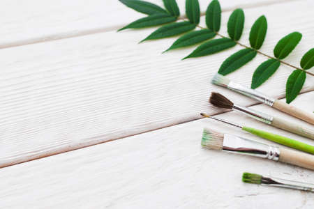 White wooden background with paintbrushes. Artist workplace with drawing tools and green leaves, free space. Art, inspiration, creativity, craft, rustic, painter workshop conceptの写真素材