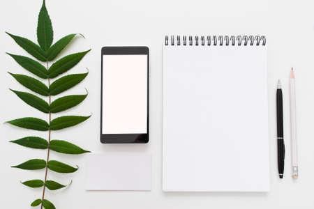Green leave with blank notepad and smartphone flat lay. Top view on supplies with clean mobile phone screen and green leaf, free space. Art, business, creation, imagination, inspiration conceptの写真素材