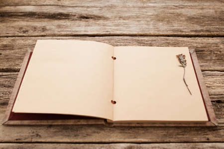 Blank vintage scrapbook with herbarium mockup. Empty album with pressed flower on page on old wooden background, free space. Art, hobby, floristic, craft, science conceptの写真素材