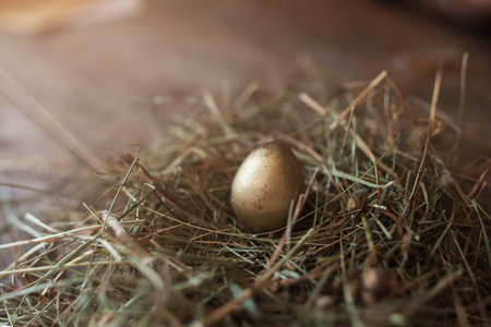 Easter Egg Quail Coloring Art Decoration Tradition Hobby Holiday Investments Bank Deposit Concept