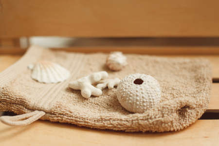 Shells for hot massage in spa salon close-up. Set of special seashells for warming and relaxing procedures. Health and body care, alternative medicine, treatment background conceptの写真素材