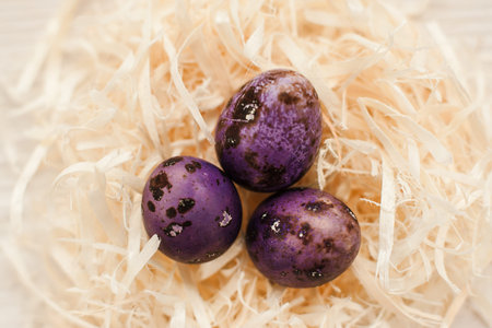 Three purple easter eggs in a handmade white nest top view. Easter background. Tradition, home...
