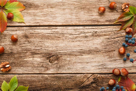 Hazelnuts and grape frame on wood flat lay. Top view on shabby wooden table with nuts and grapes with yellow leaves, beautiful natural autumn backdrop, fall harvest conceptの写真素材