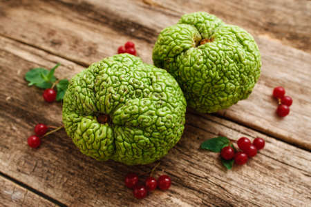 Top view on green exotic fruits with red berries. Osage apples or Maclura pomifera with viburnum and leaves on old grungy wooden table, bright sumer compositionの写真素材