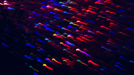 Abstract background of colorful waves in motion on black. Bokeh of defocused curves, blurred neon blue, yellow and red leds, imitation of glowing sperm flow, wallpapers and bannersの写真素材