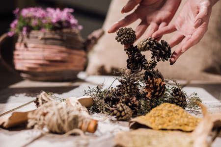 Pine cones. Health extract preparation process. Unrecognizable female, homemade medical ingredient in focus on foreground, medicament conceptの写真素材