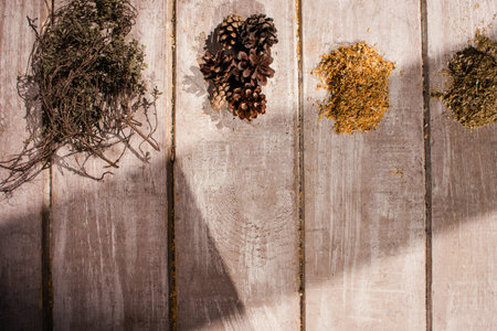 Medical herb preparation background top view. Quackery with free space closeup, homemade pharmacy, alternative medicine conceptの写真素材