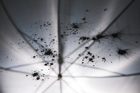 Creative background of powdery dust, close up. Cosmetics and make up, dirty work place, gunpowder conceptの写真素材