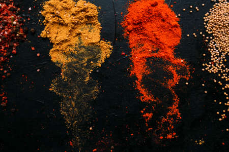 food spice mustard pepper paprika tumeric dark background conceptの写真素材