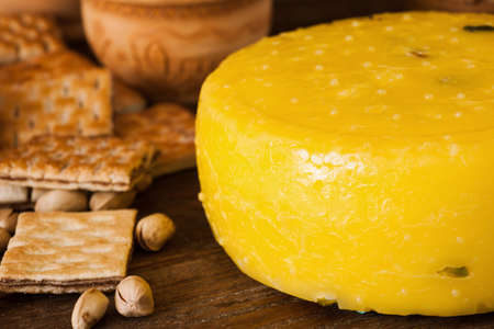 Food composition of gourmet cheese, close up. Quality sort of Caciotta with cookies and nuts around, sunny mood concept. Dairy local industryの写真素材