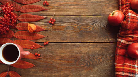 Hot beverage to keep warm in autumn. Black coffee or tea concept. Fall leaves backgroundの写真素材