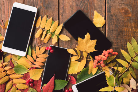 phone e-commerce advertisement concept. Autumn leaves on wooden background