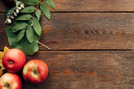 Juicy autumn harvest and leaves on the wood surface. Fall background.の写真素材