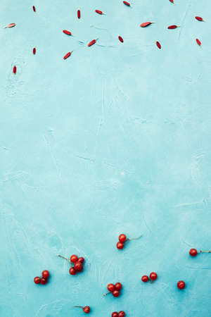 abstract scattered autumn berries on blue backgroundの写真素材