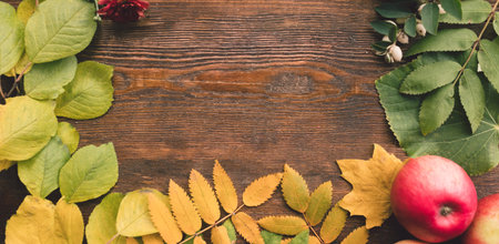 Autumn leaves and harvest on the wood surface. Colourful fall background.の写真素材