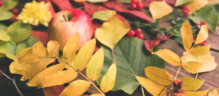 Autumn leaves mix. abstract fall background conceptの写真素材