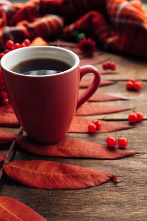 Hot beverage to keep warm in autumn. Black coffee or tea concept. Fall leaves backgroundの写真素材